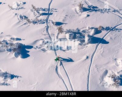 Athlete snowboarder rides off-piste clean snow snowboard, untouched in forest on slope. Aerial top view Stock Photo