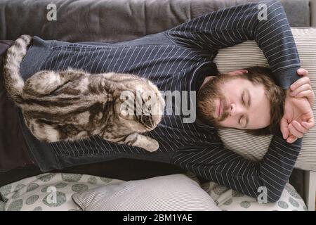 Attractive Caucasian man sleeps on a sofa, and his charming cat lies on his chest. Top view. Stock Photo