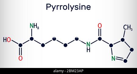 Pyrrolysine (l-pyrrolysine, Pyl, O) amino acid molecule. Skeletal ...