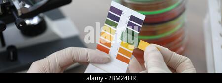 Hands holding litmus test paper for soil analysis Stock Photo