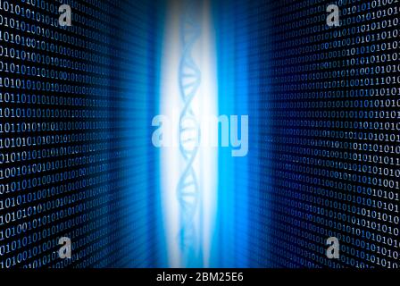 DNA and binary numbers against a blue background Stock Photo