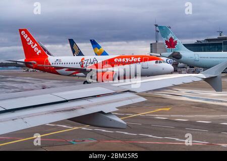 Easyjet (OE-LKF) aircraft on the apron of Frankfurt Airport in front of Ryanair and Condor jets Stock Photo