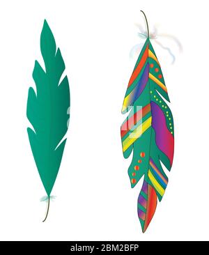 Colorful graphic feathers isolated on white background.  Native American Indian feathers. Stock Photo