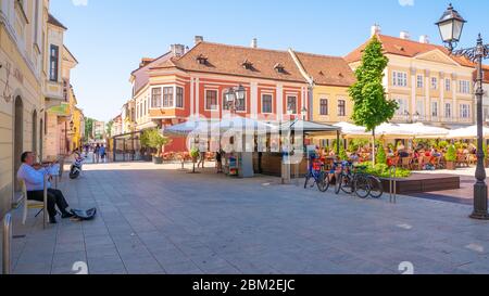 Gyor, Hungary - 02 16 2020: Gypsy musician plays the violin in Gyor in Szechenyi Square. Stock Photo