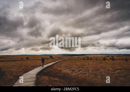 Walker in nature reserve High Fens, Belgium. Stock Photo