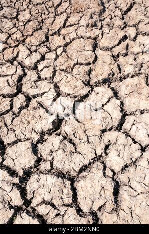 Dry and cracked ground during the hot weather of spring 2020. Stock Photo