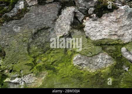 Old grunge gray textured background. Creat background with copy space Stock Photo