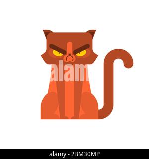 Shy Grumpy Cat. Meme Cat Isolated Whitebackground Stock Vector