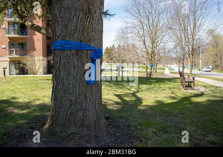 Blue ribbon, sign of gratitude and respect for the frontline healthcare workers in Stratford, Ontario, Canada. Stock Photo