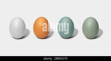 Group of Chicken eggs isolated on white background. White, brown, green and blue egg Stock Photo