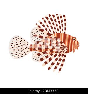 Illustration of a lionfish. Tropical, exotic fish. Stock Vector