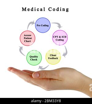 Five Components of Medical Coding Stock Photo