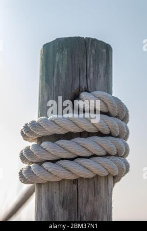 thick rope tied around a wooden stake in the forest Stock Photo