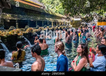 Prayers are in pool of the Holy Springs Temple, local name of this temple ' Tirta Empul ' Stock Photo