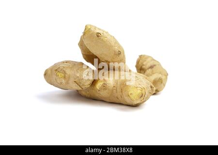 Ginger rhizome isolated on white background. Two fresh ginger roots Stock Photo