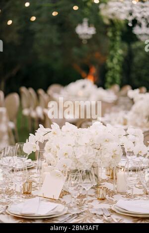 Wedding dinner table reception. A large bouquet of white orchids on the table among plates, glasses and candles. Wedding floristry Stock Photo