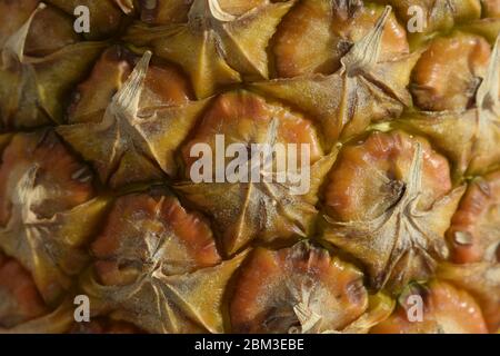 Pineapple fruit close-up. ?ineapple skin texture. rind. ?olor of pineapple peel. Stock Photo