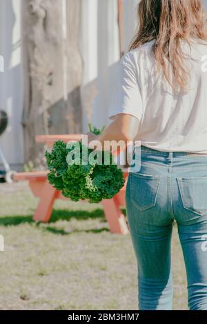 Young woman holds a fresh bunch of Kale, picked from Brooklyn farm Stock Photo