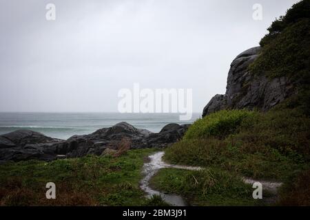Pathway leading to Pettinger Point on Cox Bay Beach in Tofino Stock Photo
