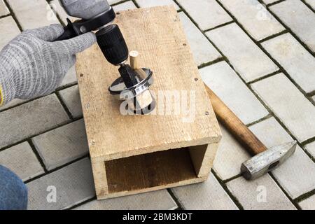 Making birdhouse from boards. Drilling holes. Help the birds in spring Stock Photo