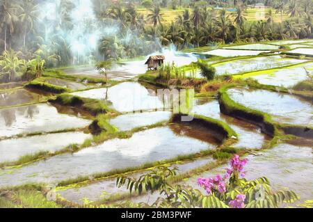 Colorful Terrace Rice Field Rice field terrace agriculture colorful painting looks like picture ...