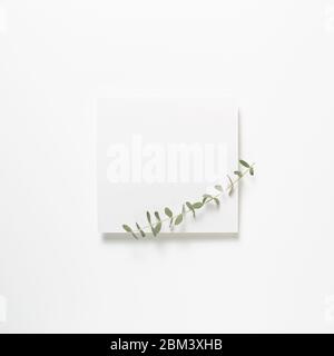White memo pad, empty paper with eucalyptus leaves on white background. top view, copy space Stock Photo