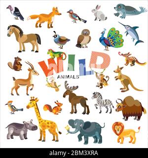 Wild animals in front view and side view large vector cartoon set in flat style isolated on white background. Vector illustration of animals for child Stock Vector