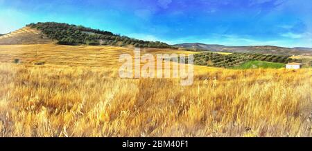 Wheat field colorful painting looks like picture, Andalusia, Spain Stock Photo