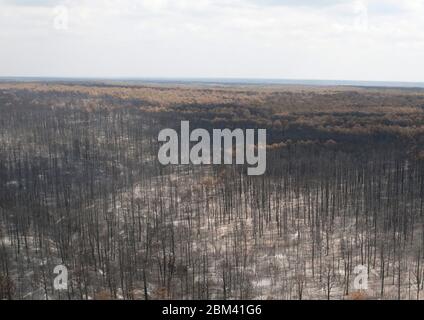 Bastrop County Texas USA, September 2011: Aerial of fire damage where wildfires last week claimed 38,000 acres and over 1,500 homes with two deaths reported.  The trees in Bastrop State Park were the hardest hit with over 95% of the park acreage blackened or destroyed.  ©Bob Daemmrich Stock Photo