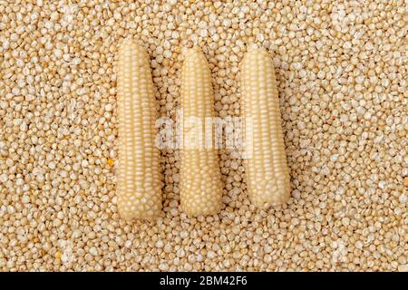 Corn or Maiza dried and spread close-up texture and background. Stock Photo