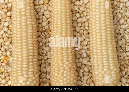 Corn or Maiza dried and spread close-up texture and background. Stock Photo