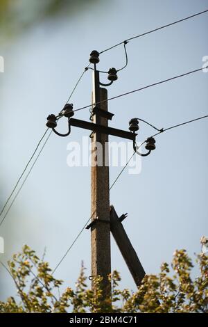 Old electric post on a background of blue sky and trees with lea Stock Photo