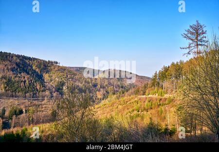 Mountains with trees in the Harz under a blue sky. Stock Photo