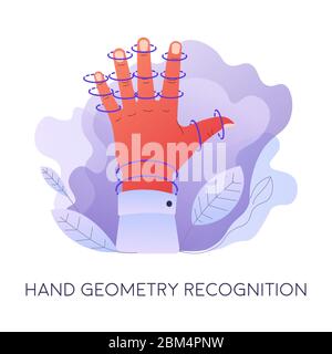 Hand geometry recognition, biometric data access and authentication Stock Vector