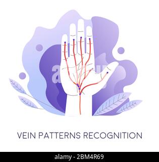 Vein pattern recognition, authentication and access to data Stock Vector