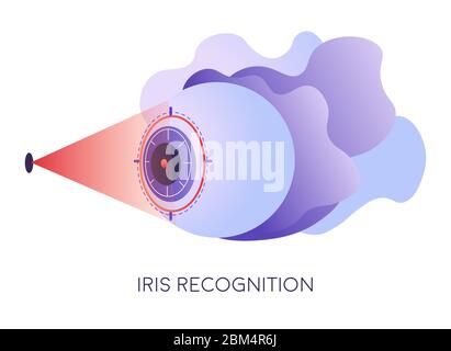 Eye recognition, scanning iris for authentication and access Stock Vector