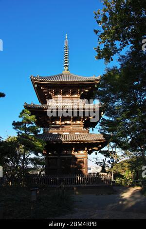 Yokohama / Japan - 06 Nov 2013: The pagoda in Sankeien Gardens in Yokohama, Japan Stock Photo