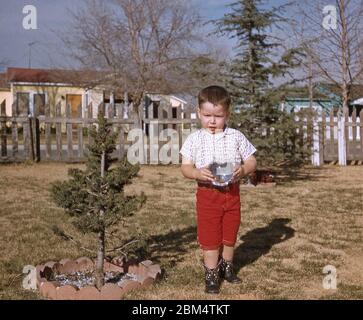 A young boy poses in his garden with a bowl of water containing two goldfish, USA 1961. He could have won the fish at a fair as a prize or maybe they were a present. He is wearing red three quarter length shorts and cowboy boots. Stock Photo