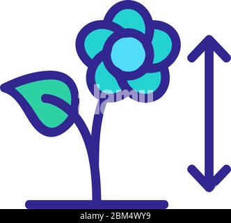 measuring flower growth icon vector outline illustration Stock Vector