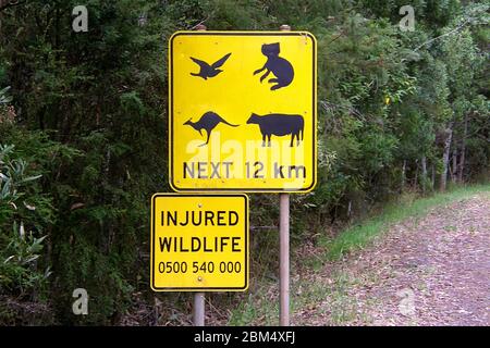Australian wildlife yellow sign at side of road. Stock Photo