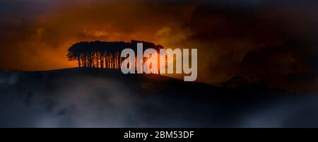 Sun setting behind trees, Devon, UK Stock Photo
