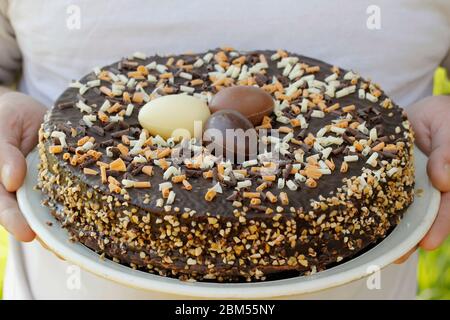 Chocolate tart. Mona. Typical from Catalonia, Spain. Stock Photo