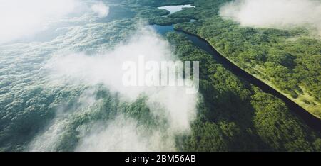 Aerial view of a dense amazonian rainforest with river. 3d rendering. Stock Photo