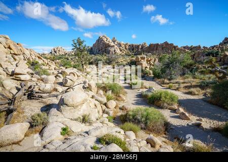 hiking the hidden valley trail in joshua tree national park, california in the usa