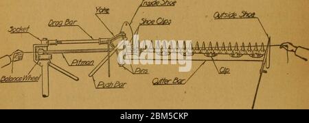 "Farm craft lessons" (1919 Stock Photo - Alamy