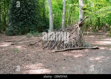 children makeshift lean to made up of sticks and branches in the wood Stock Photo