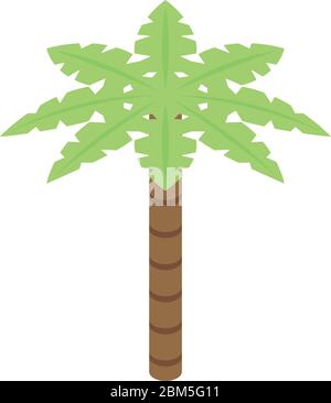 Palm tree icon, isometric style Stock Vector