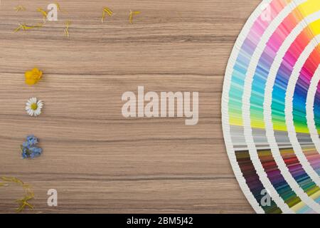 Color card range on wooden desk Stock Photo