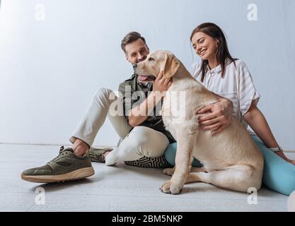 Smiling couple sitting on floor and petting golden retriever on grey background Stock Photo
