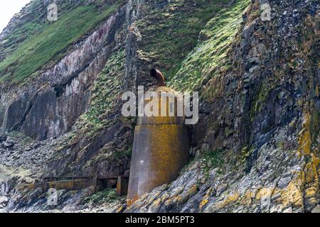 ailsa craig old foghorn Stock Photo